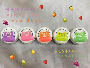 221 4g Color Gel LEAFGEL PREMIUM