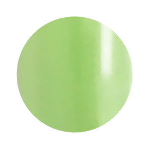 020 4g Color Gel LEAFGEL PREMIUM