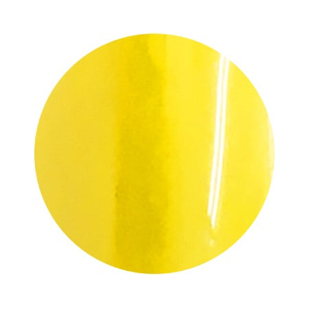 023 4g Color Gel LEAFGEL PREMIUM