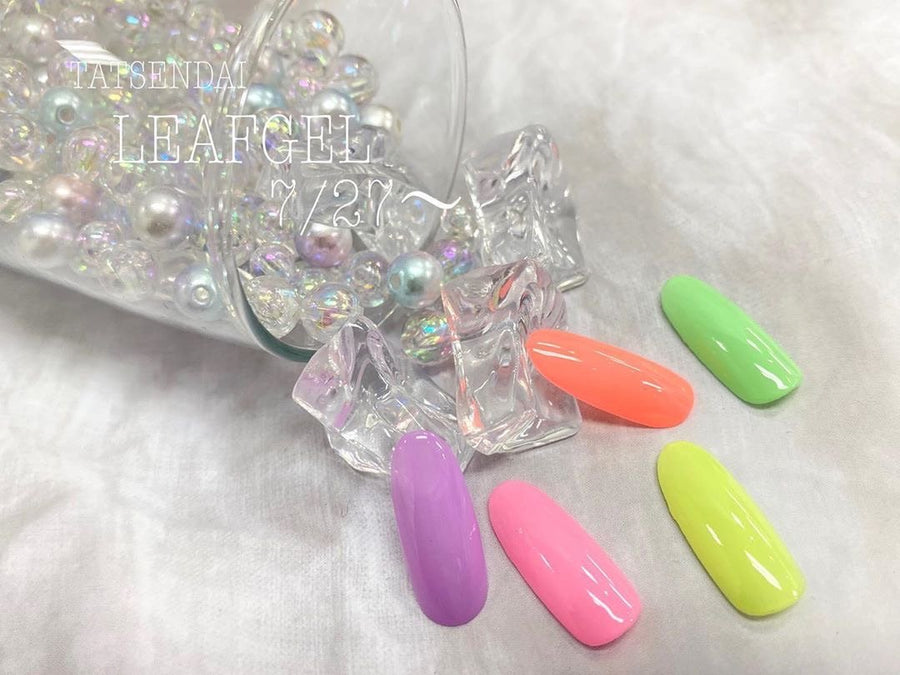 221 4g Color Gel LEAFGEL PREMIUM