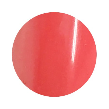 101 4g Color Gel LEAFGEL PREMIUM