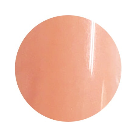 061 4g Color Gel LEAFGEL PREMIUM