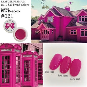 021 4g Color Gel LEAFGEL PREMIUM