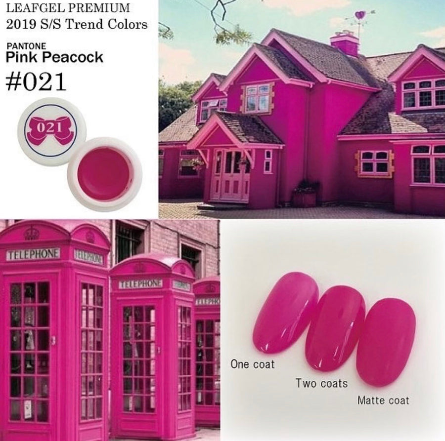 021 4g Color Gel LEAFGEL PREMIUM